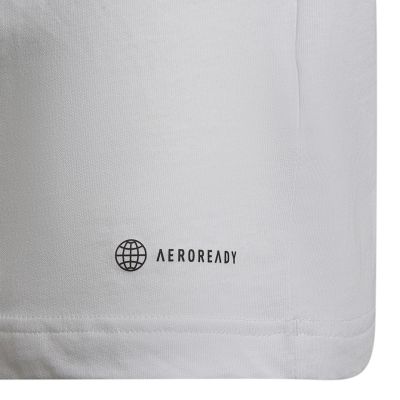 10. adidas Entrada 22 Tee Jr HC0447