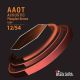 BlackSmith AAPB-1254 Light - Akustikgitarrensaiten 3er-Pack