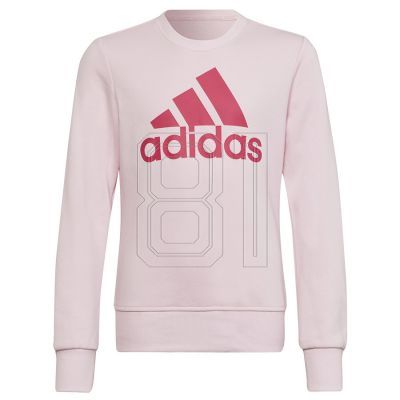 Adidas Big Logo SWT Jr HM8709 Sweatshirt