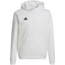 Adidas Entrada 22 Hoody Jr HG6303 Sweatshirt