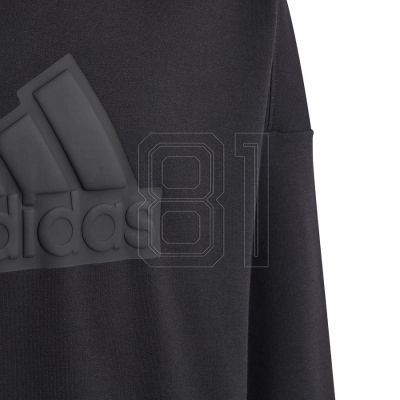 4. adidas FI Logo HD Jr HR6301 Sweatshirt