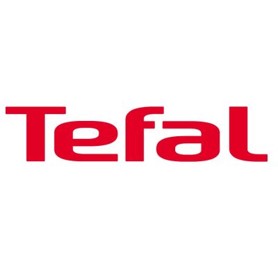 Tefal Tragbarer Staubsauger Grün Beutellos