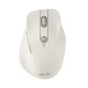 ASUS MD105 Kabellose Maus, Milchweiß, 2400 DPI, Dual-Mode-Funkverbindung (2,4 GHz und Bluetooth)
