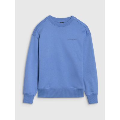 5. Jungen-Sweatshirt ohne Kapuze, ohne Reißverschluss 4F 4FJWSS25TSWSM1713-34S