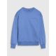 5. Jungen-Sweatshirt ohne Kapuze, ohne Reißverschluss 4F 4FJWSS25TSWSM1713-34S