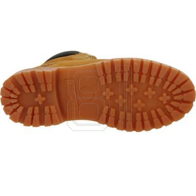 3. Timberland Premium 6 Inch JR 10361 Schuhe 