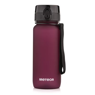 7. Meteor Flasche 650 ml 17660 Burgund