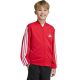 4. adidas Essentials Cimacool Kinder-Sweatshirt Rot KQ9728