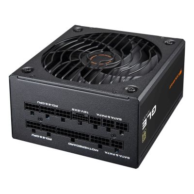 COUGAR CGR GLE-1000 Netzteilmodul 1000 W 20+4 Pin ATX Schwarz