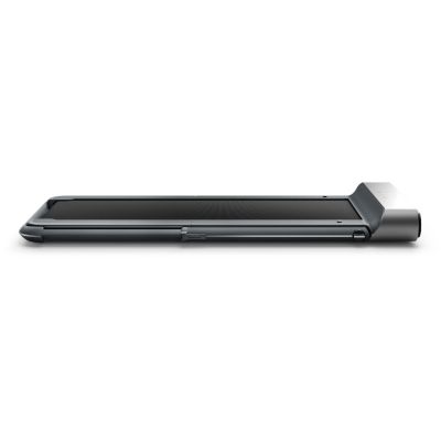 102. Kingsmith WalkingPad TRR1F R1 Sport-Laufband