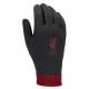 3. Nike Liverpool FC Thermafit HO23 FJ4857-010 Handschuhe