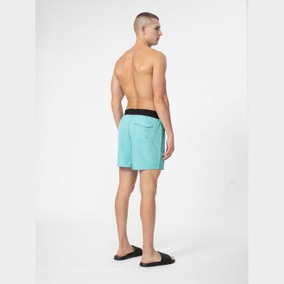 2. Shorts 4F M 4FSS23UBDSM027 türkis
