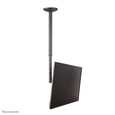 36. NEWSTAR Neomounts FPMA-C060BLACK Deckenhalterung 101,6 cm (40 Zoll) Schwarz