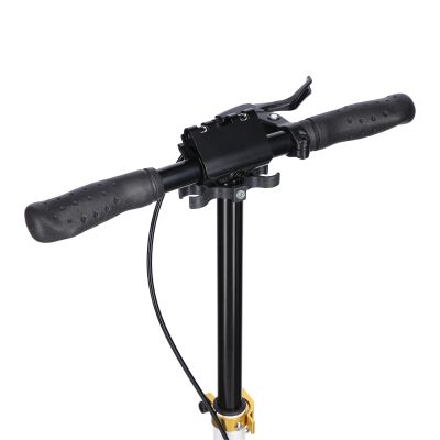 15. HM209T WEISS-GOLD ROLLER MIT SCHEIBENBREMSE NILS EXTREME