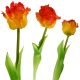 4. Orangefarbene Tulpe, 38 cm, naturgetreue Frühlingsdekoration