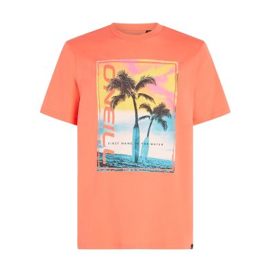 5. O'Neill Jack Neon T-Shirt M 92800613602