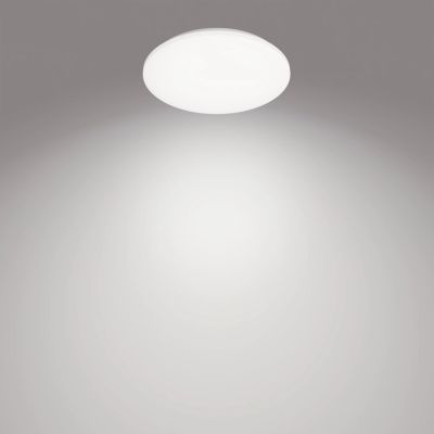 24. Philips Functionality Izso 40W Deckenleuchte