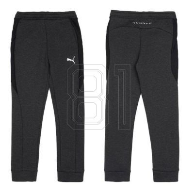 6. Puma Jr. Hose 580732 04