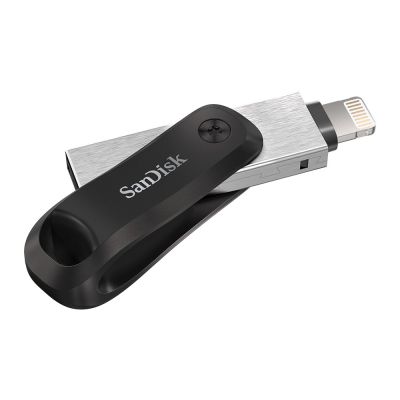 3. SanDisk iXpand GO SDIX60N-256G-GN6NE USB-Stick (256 GB; Lightning, USB 3.0; silber)