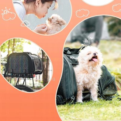 12. Rockbros 30140028001 Transport-Fahrradtasche für Katzen und Hunde – Schwarz