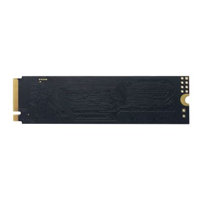 2. Patriot P300 2 TB M.2 2280 PCI-Ex4 Gen3 NVMe SSD