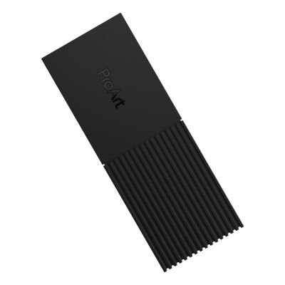 28. Asus ProArt PA40SU SSD-Gehäuse