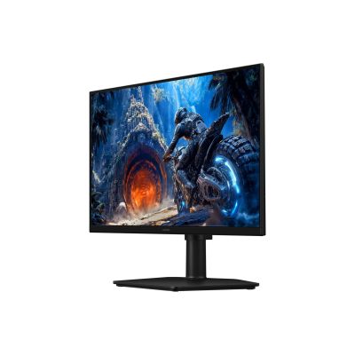 21. SAMSUNG LS25HG402EU MONITOR
