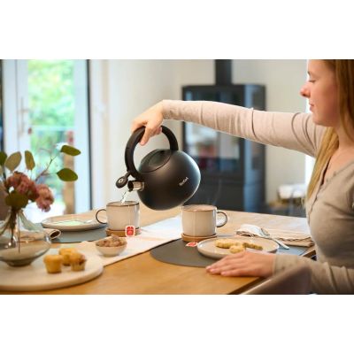 3. TEFAL N4180410 nicht elektrischer Wasserkocher