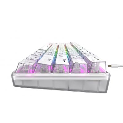 5. Havit KB903L Gaming-Tastatur (Transparent Weiß)