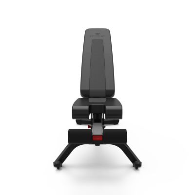 2. Bowflex 4.1S 100918 Trainingsbank