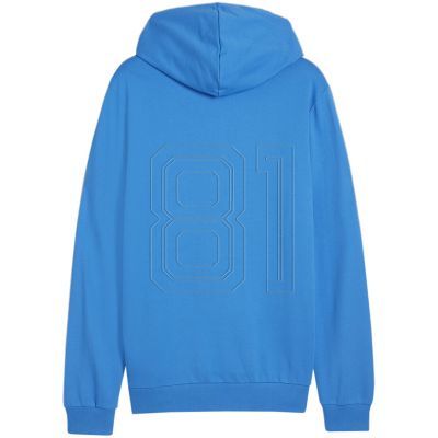 2. Puma Team Goal Casuals Hooded M 658595 02 sweatshirt