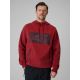 Herren-Kapuzenpullover, regulär, Größe 4F 4FRSS26TSWSM2975-20S