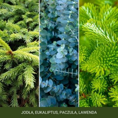 2. Mittlere Kerze SHIMMERING CHRISTMAS TREE YANKEE