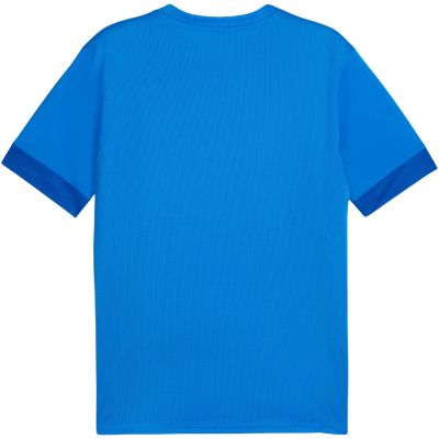 4. Puma teamGoal Spieltagstrikot M 705747 02