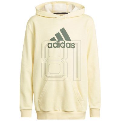 6. Adidas Badge of Sport Hoodie Jr Sweatshirt HN8469