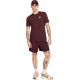 5. Herren-T-Shirt Nike Club Tee burgunderrot AR4997 652
