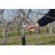 Felco 2 Amboss Gartenschere Rot