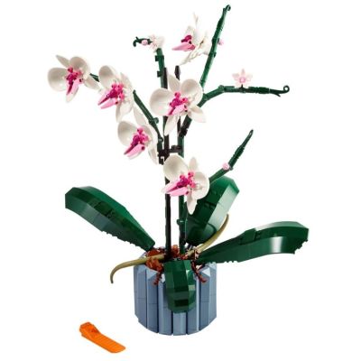 10. LEGO Icons 10311 - Orchidee