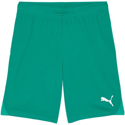 Puma Team Goal Herrenshorts grün 705752 05