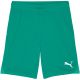 Puma Team Goal Herrenshorts grün 705752 05