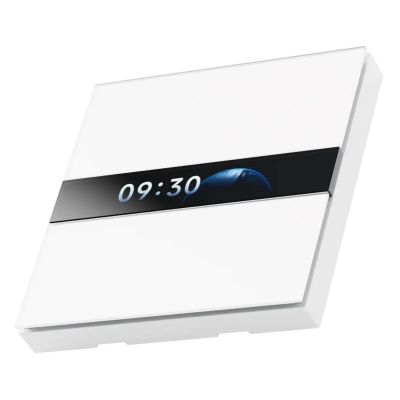 2. Aqara Display Switch V1