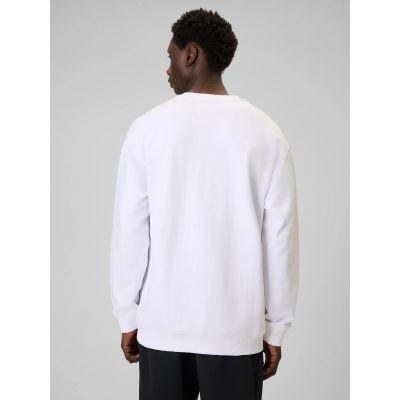 4. Herren-Sweatshirt ohne Reißverschluss und Kapuze 4F 4FRAW25TSWSM2493-10S