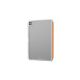 5. AmazingThing Minimalistische Hülle für iPad Pro M5 11" - Orange
