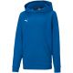3. Puma teamGOAL 23 Casuals Hoody Jr 656711 02 Sweatshirt