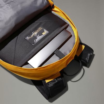 7. The North Face Borealis Classic Rucksack, Schwarz, Orange, Nylon