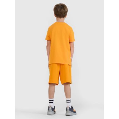 3. Jungen-T-Shirt mit normalem Aufdruck 4F 4FJRSS25TTSHM2642-70S