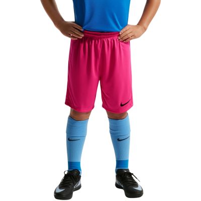 3. Nike Dry Park III NB K Kindershorts Pink BV6865 616