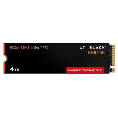 4. SSD WD Black SN8100 ohne HS 4TB WDS400T1X0M