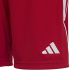 4. adidas Tiro 23 League Jr IB8092 Shorts
