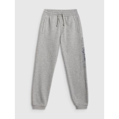 8. Jogginghose für Jungen 4F 4FJRSS26TTROM1733-27M